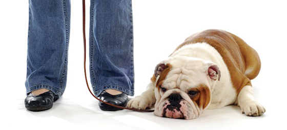 d79e524399e85407374f9e9b14941a81