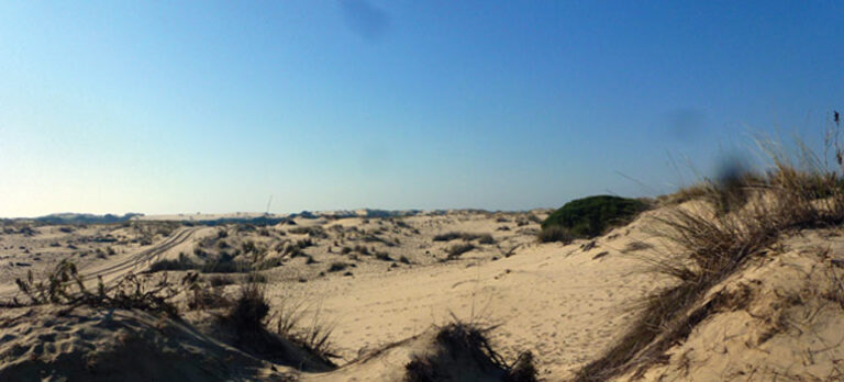 daad0e232960e477e4bce5c878152bcc