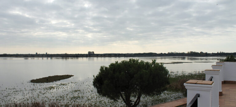 f2484a21cdb9b1c3539b1c1e18417c2e