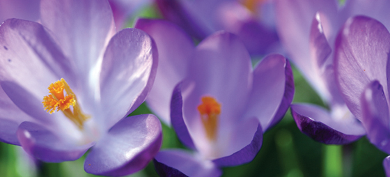 f2c1ae7031d442d4e8d0806ca14072f3