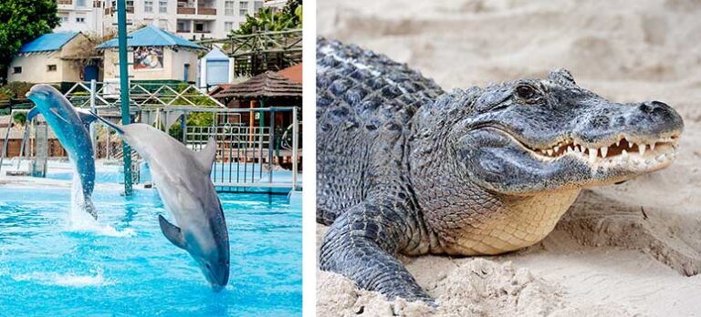 f9feb8bfe217c797c8c3735986d05751