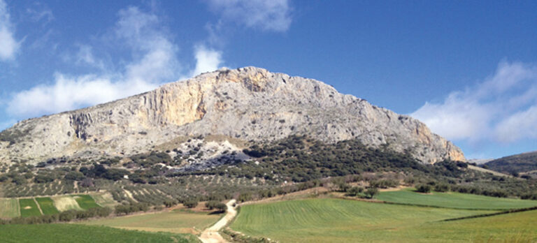 fc37b28d5aaf0495ccf3d08fa8d8f4b6