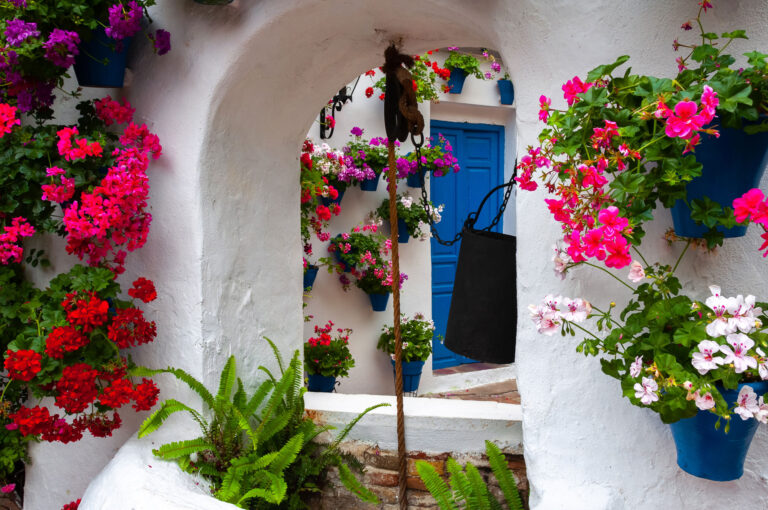 shutterstock_1383944132