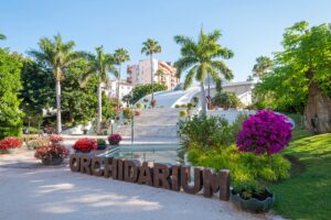 Besøg Europas største orchidarium i Estepona