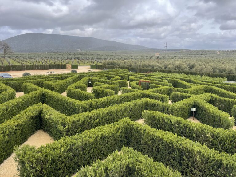 Photo 22-3-25, 12 55 40