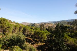 Málaga Naturpark fordobles i størrelse for at beskytte mod oversvømmelser