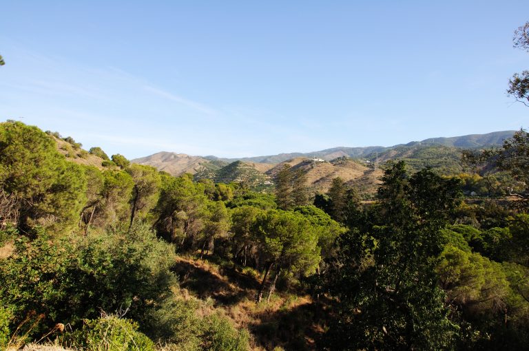 Málaga Naturpark fordobles i størrelse for at beskytte mod oversvømmelser