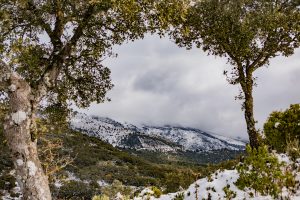 Sne på bjergene i Málaga