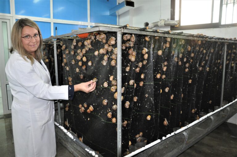 Andalusiens vita pärlor