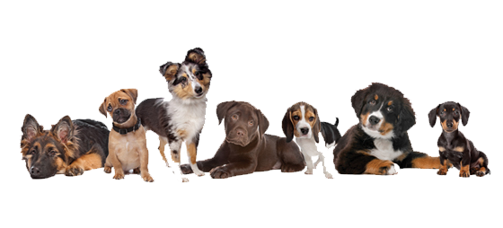 027fa346501060c05837cdbaafebefd2