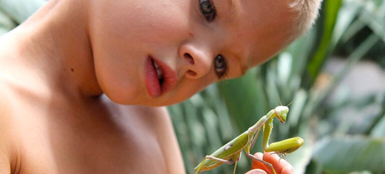 0e7da5d0fdfb74e9176f346ca9324868