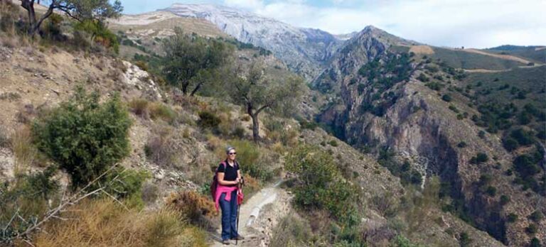 1cf94ed988819a217319186d944fbd1e