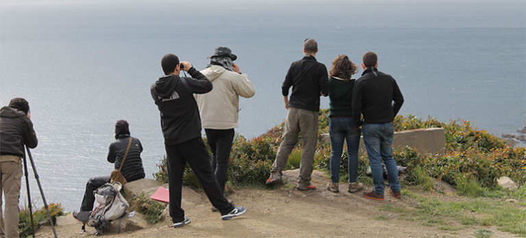 2b00e6d4019b16564b847a6d5ce2ee97