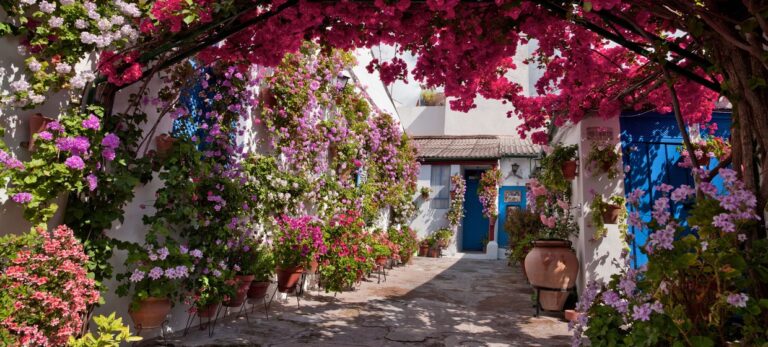 508799203da8ac3a1a0316d602dc6d12