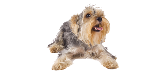 53371fed0bea9abc1110b77600a308b7