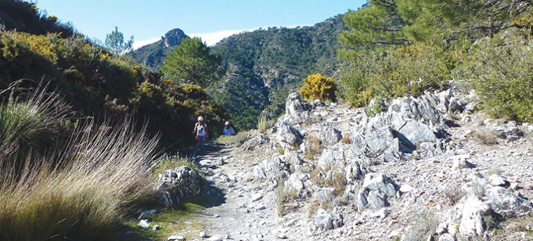 5760862486cf056cb915da5c02e9291c