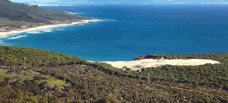 62c55d629c29bb45f13e3fe3a953c107