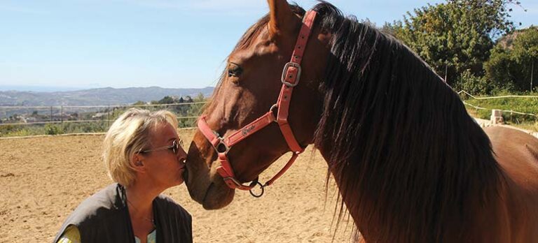 6c8233b6079cc6f02b9e62bec56604c6