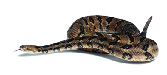 7026ba18cbbd3505512032dd0a594359