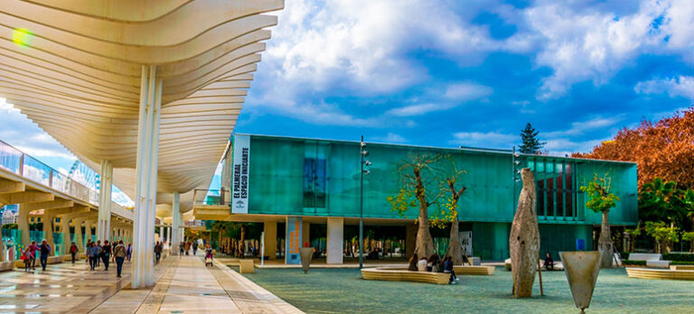 713f1e0bcacdf79c052be7dcd5c55fd7