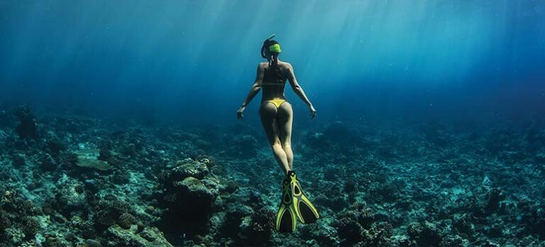 9b61bde539ccf3d7da2c57605929f23c