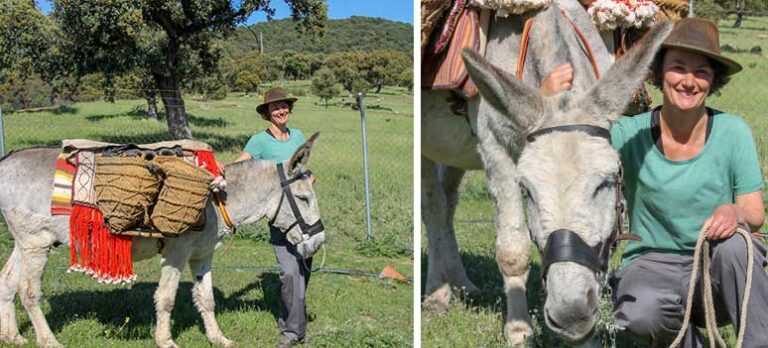 9bd787830349a8894b1945e06c476237