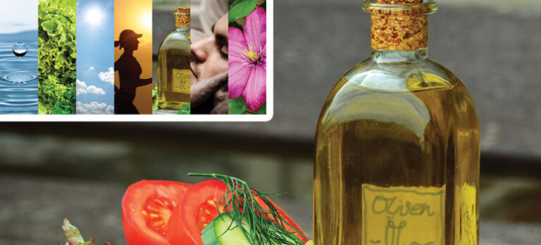 b11994c784c60d7fdcd71c2a87f48412