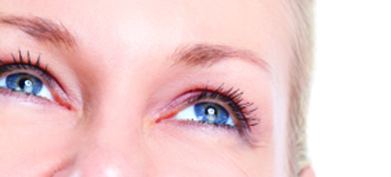 b137309b808d4487156df4a98011bd00