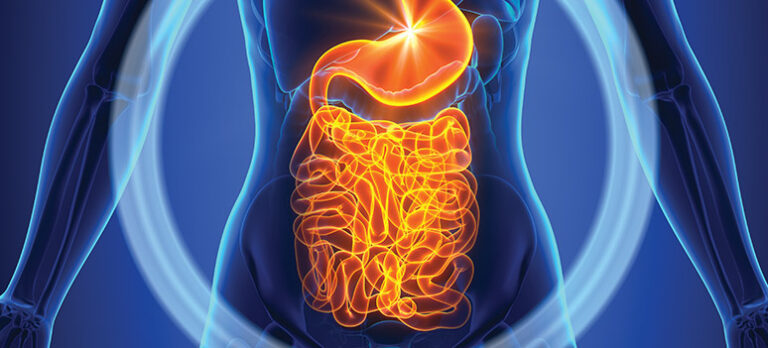 c1ab201ff5fc7c4dba5d1530364eea92