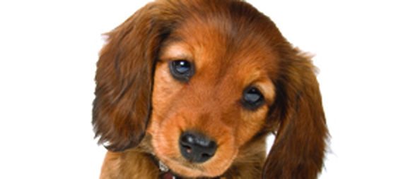 d43d611993e2c0b5858e6ea8b739d4cd