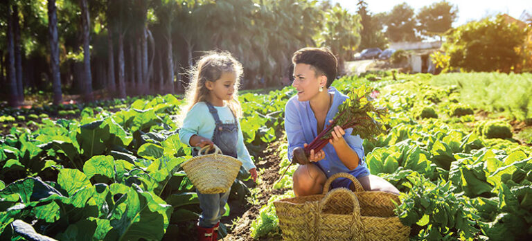 e1701bdb7e98d808a1515ddf92c1fa5d