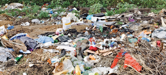 e7790e30dde28ac9a84dfe4d07c28bc3