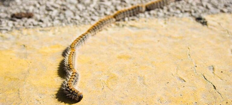 e872fac448774d85d6387536645c9152