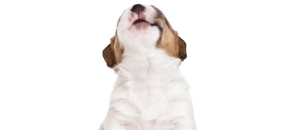 fa3d94f9bd1d627f1a2ae51d23511cfc