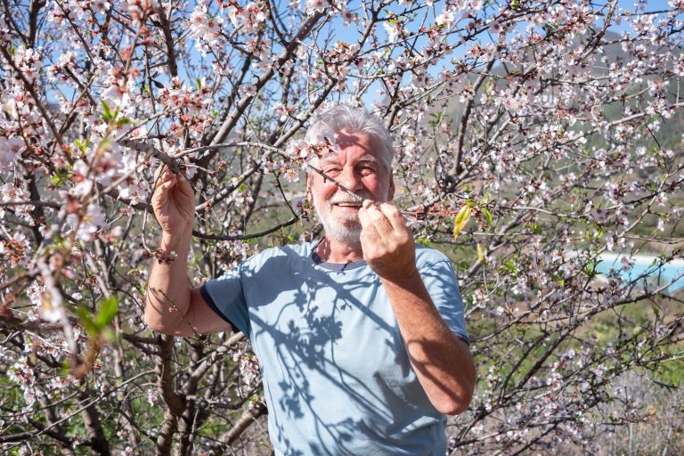 Möt våren med mandelblommorna
