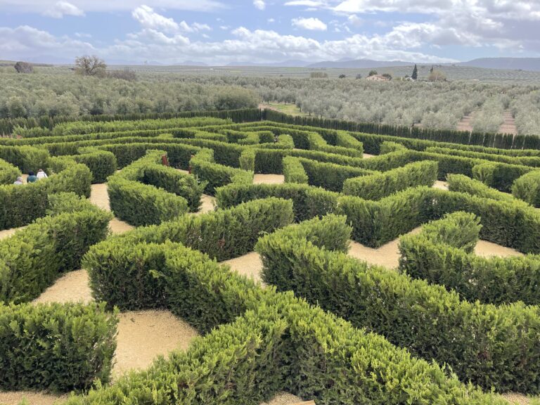 Photo 22-3-25, 12 56 04