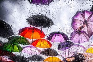 Gott nytt – och regnigt –år!