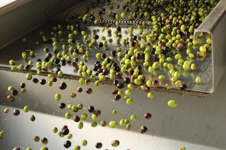 Ytterligare ett tufft år för Málagas jordbrukare