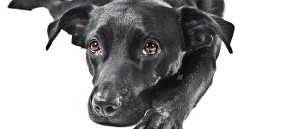 00613249a4ec9cd0a965bb4132d765e4