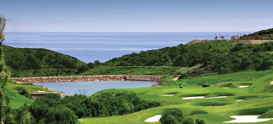 016f55ba032946c0cb4684e8e2dc8372