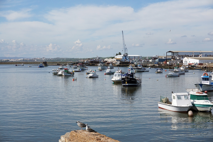 0379fa64ee391bd076a44d1865d5c600