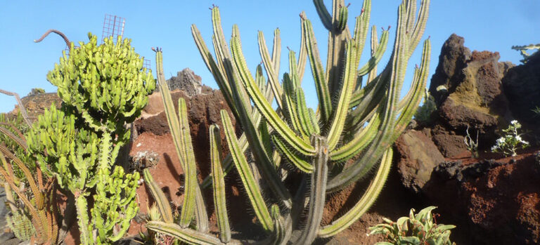 0a63963773a61103c966f4be4f5feeb6