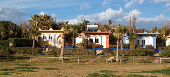 1ab34b22e5d5a932cdba5d1cd5c3e331