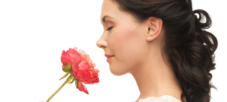 1ae6910e44e3edd7e97ca81cac7ad39a