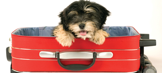 1c1fc746be909b95fa07928182c15179