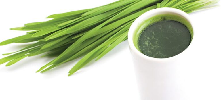 1db42b3a67a76ea81509f721c762fe90