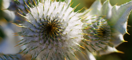 267e7dfde02ab9191f822b2534561021