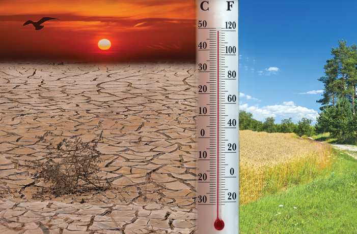 26bd7fed7bbd07e3d3ca428a0de23a56