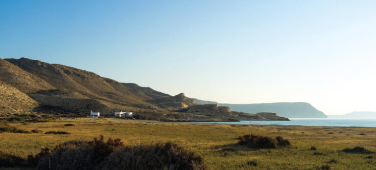 279dea151d12fd623360b88154960201