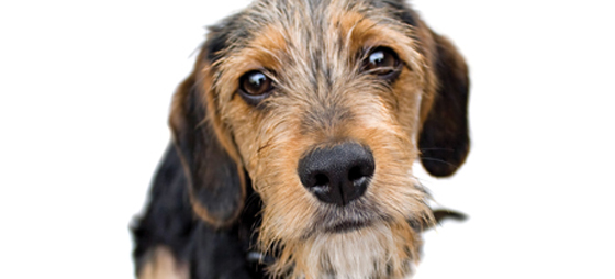 299f727244fe126d8bc86ea5c294fe35